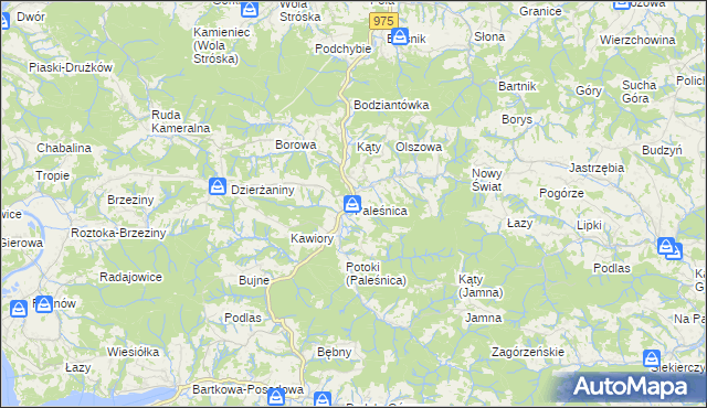 mapa Paleśnica, Paleśnica na mapie Targeo