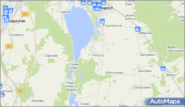 mapa Perzyny gmina Zbąszyń, Perzyny gmina Zbąszyń na mapie Targeo