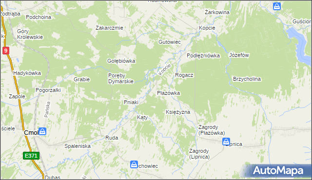 mapa Płazówka gmina Dzikowiec, Płazówka gmina Dzikowiec na mapie Targeo
