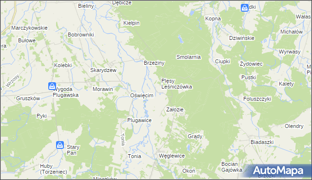 mapa Plęsy gmina Galewice, Plęsy gmina Galewice na mapie Targeo