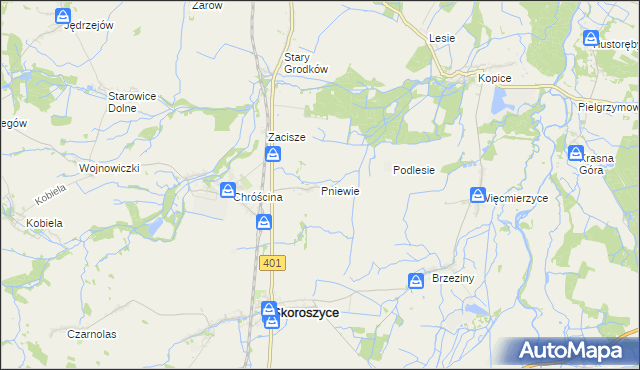 mapa Pniewie gmina Skoroszyce, Pniewie gmina Skoroszyce na mapie Targeo