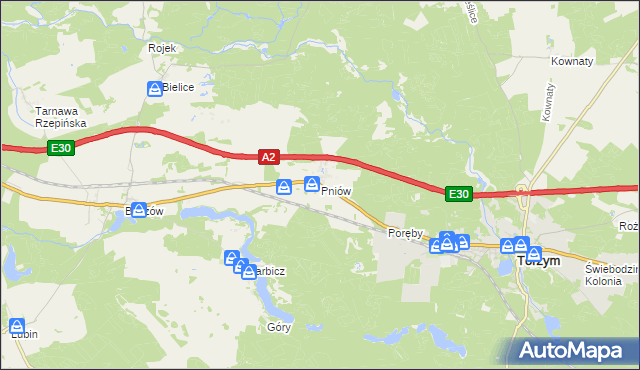 mapa Pniów gmina Torzym, Pniów gmina Torzym na mapie Targeo