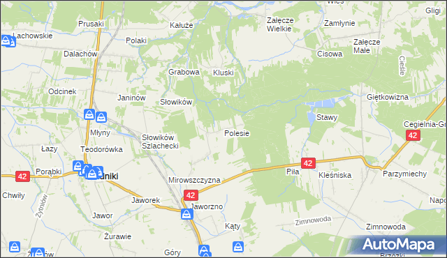 mapa Polesie gmina Rudniki, Polesie gmina Rudniki na mapie Targeo