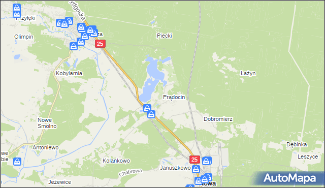 mapa Prądocin gmina Nowa Wieś Wielka, Prądocin gmina Nowa Wieś Wielka na mapie Targeo