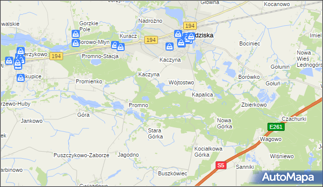 mapa Promno Leśniczówka, Promno Leśniczówka na mapie Targeo