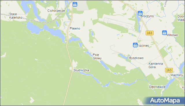 mapa Psie Głowy, Psie Głowy na mapie Targeo
