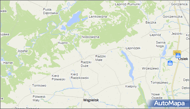 mapa Radziki Małe, Radziki Małe na mapie Targeo