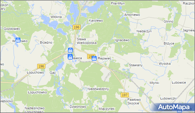 mapa Rejowiec gmina Skoki, Rejowiec gmina Skoki na mapie Targeo