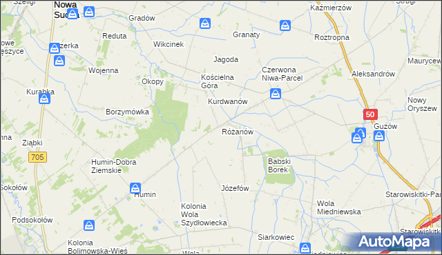 mapa Różanów gmina Wiskitki, Różanów gmina Wiskitki na mapie Targeo