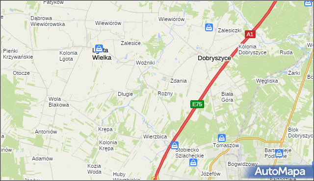 mapa Rożny, Rożny na mapie Targeo