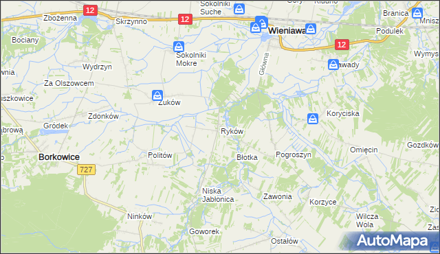 mapa Ryków gmina Wieniawa, Ryków gmina Wieniawa na mapie Targeo