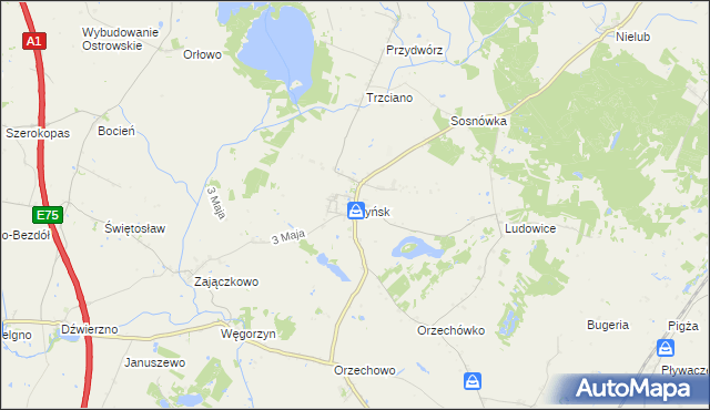 mapa Ryńsk, Ryńsk na mapie Targeo