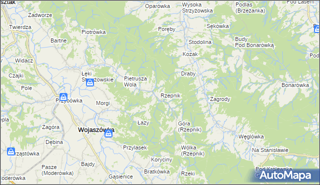 mapa Rzepnik, Rzepnik na mapie Targeo