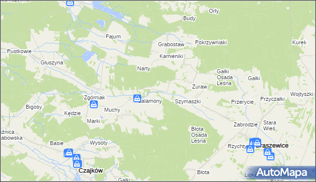 mapa Salamony gmina Brąszewice, Salamony gmina Brąszewice na mapie Targeo