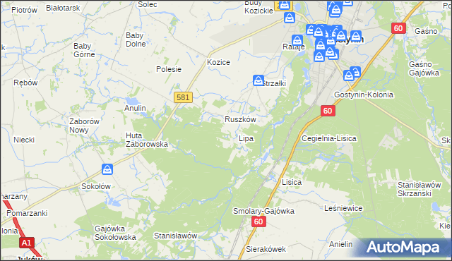 mapa Sałki gmina Gostynin, Sałki gmina Gostynin na mapie Targeo