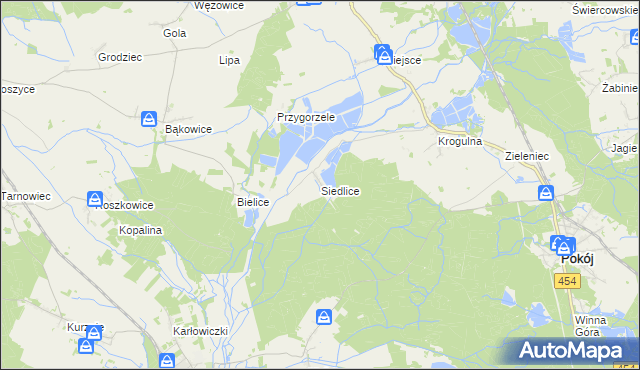 mapa Siedlice gmina Pokój, Siedlice gmina Pokój na mapie Targeo