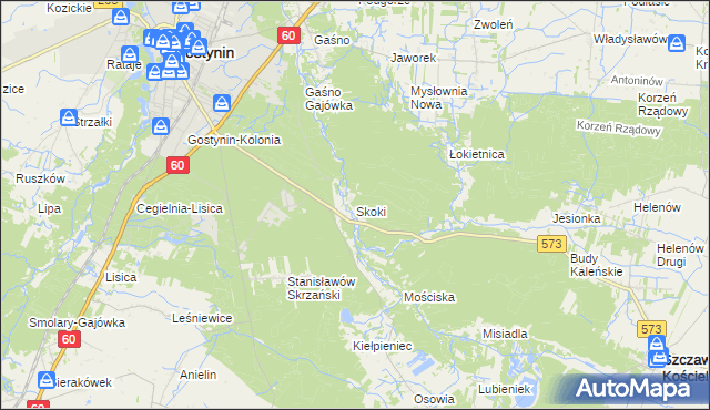 mapa Skoki gmina Gostynin, Skoki gmina Gostynin na mapie Targeo