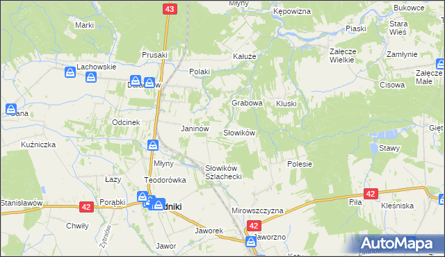 mapa Słowików gmina Rudniki, Słowików gmina Rudniki na mapie Targeo