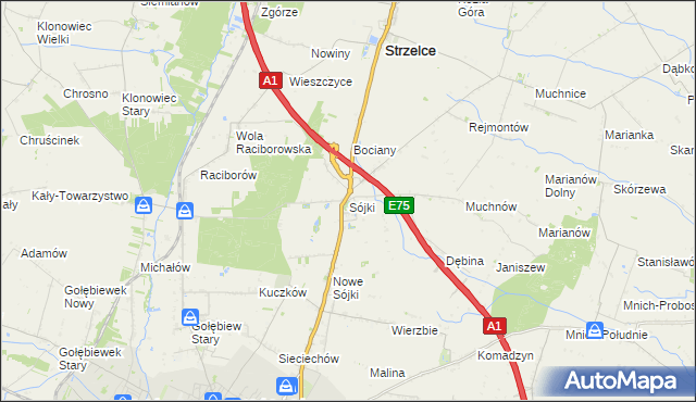 mapa Sójki gmina Strzelce, Sójki gmina Strzelce na mapie Targeo