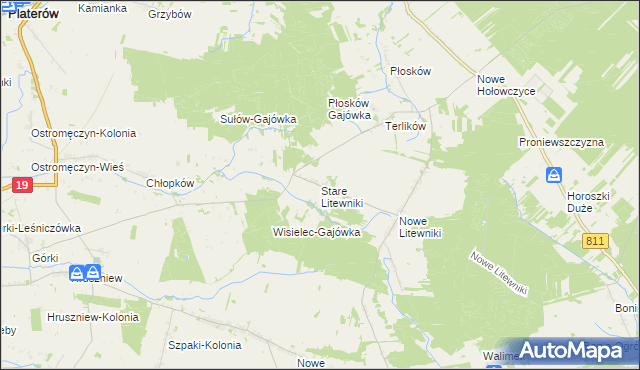 mapa Stare Litewniki, Stare Litewniki na mapie Targeo