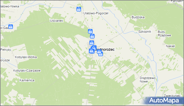 mapa Stegna gmina Jednorożec, Stegna gmina Jednorożec na mapie Targeo