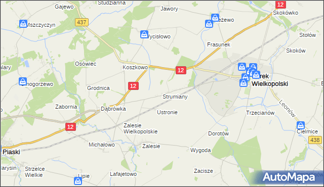 mapa Strumiany gmina Borek Wielkopolski, Strumiany gmina Borek Wielkopolski na mapie Targeo