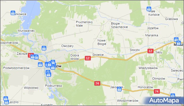 mapa Strzelce gmina Mniszków, Strzelce gmina Mniszków na mapie Targeo