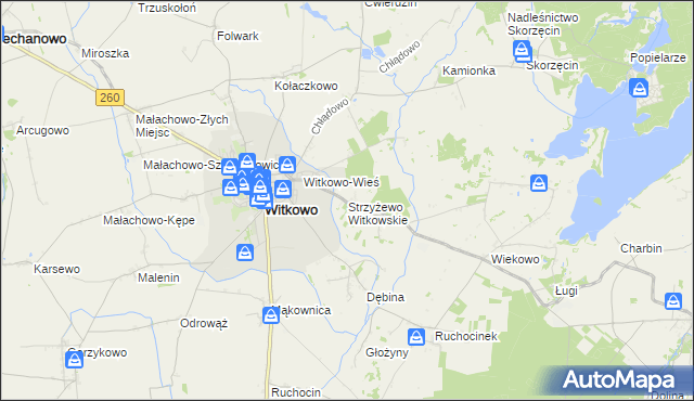 mapa Strzyżewo Witkowskie, Strzyżewo Witkowskie na mapie Targeo