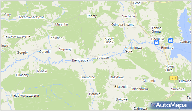 mapa Suszcza, Suszcza na mapie Targeo