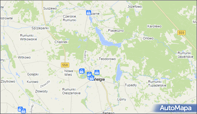 mapa Teodorowo gmina Wielgie, Teodorowo gmina Wielgie na mapie Targeo