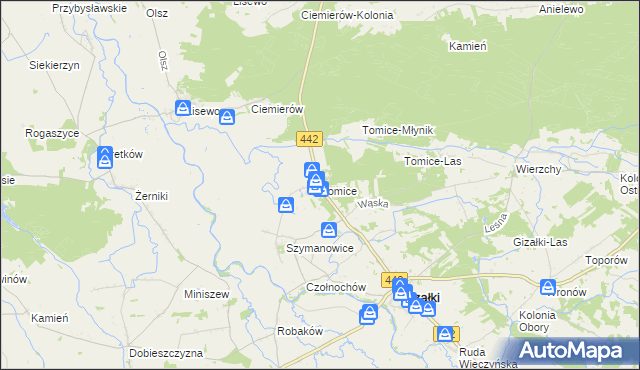 mapa Tomice gmina Gizałki, Tomice gmina Gizałki na mapie Targeo