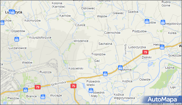 mapa Tropiszów, Tropiszów na mapie Targeo