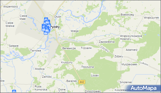 mapa Trzcianki gmina Pyzdry, Trzcianki gmina Pyzdry na mapie Targeo