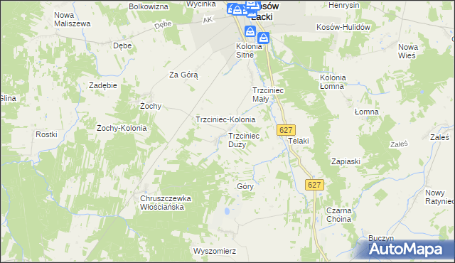 mapa Trzciniec Duży, Trzciniec Duży na mapie Targeo