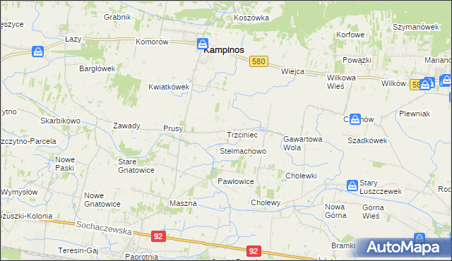 mapa Trzciniec gmina Leszno, Trzciniec gmina Leszno na mapie Targeo
