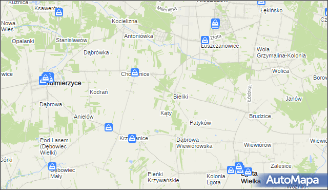 mapa Trzciniec gmina Sulmierzyce, Trzciniec gmina Sulmierzyce na mapie Targeo