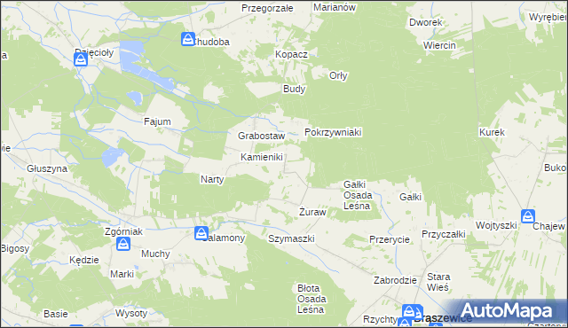 mapa Trzcinka gmina Brąszewice, Trzcinka gmina Brąszewice na mapie Targeo