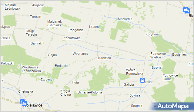 mapa Turowiec gmina Wojsławice, Turowiec gmina Wojsławice na mapie Targeo