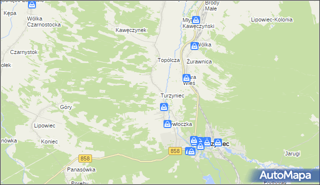 mapa Turzyniec gmina Zwierzyniec, Turzyniec gmina Zwierzyniec na mapie Targeo