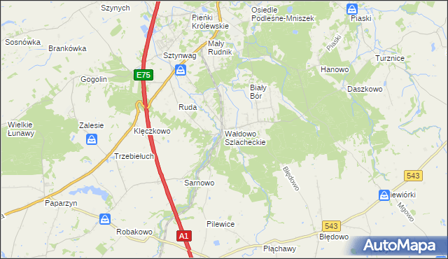 mapa Wałdowo Szlacheckie, Wałdowo Szlacheckie na mapie Targeo