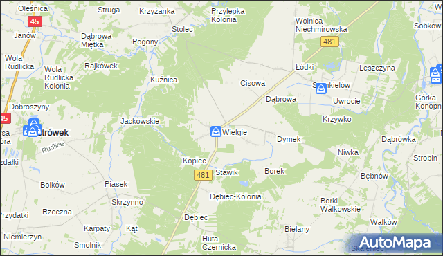 mapa Wielgie gmina Ostrówek, Wielgie gmina Ostrówek na mapie Targeo