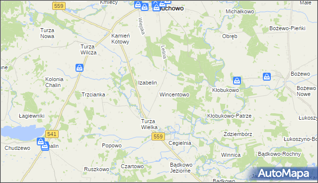 mapa Wincentowo gmina Brudzeń Duży, Wincentowo gmina Brudzeń Duży na mapie Targeo