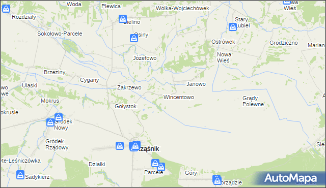 mapa Wincentowo gmina Rząśnik, Wincentowo gmina Rząśnik na mapie Targeo