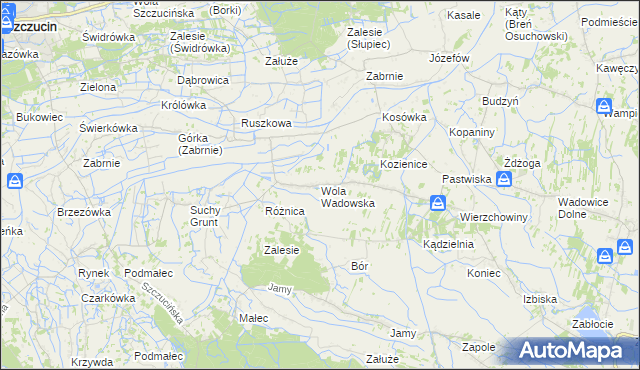 mapa Wola Wadowska, Wola Wadowska na mapie Targeo