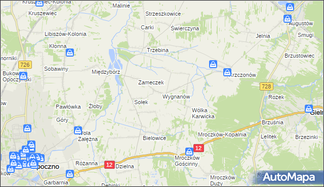 mapa Wygnanów gmina Opoczno, Wygnanów gmina Opoczno na mapie Targeo