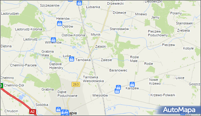 mapa Zalesie gmina Dąbie, Zalesie gmina Dąbie na mapie Targeo