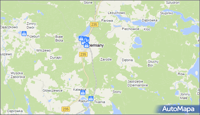 mapa Zarośle gmina Dziemiany, Zarośle gmina Dziemiany na mapie Targeo