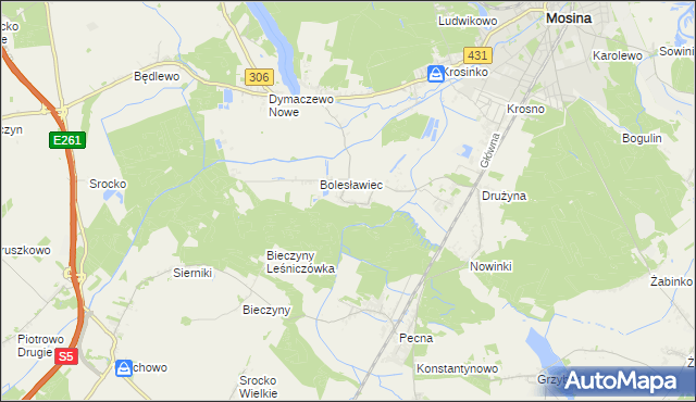 mapa Borkowice gmina Mosina, Borkowice gmina Mosina na mapie Targeo