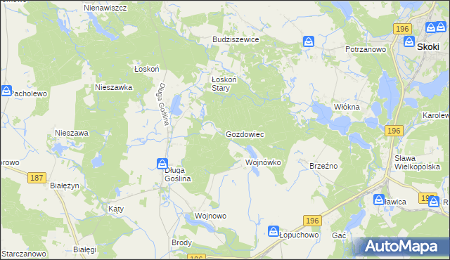 mapa Gozdowiec, Gozdowiec na mapie Targeo