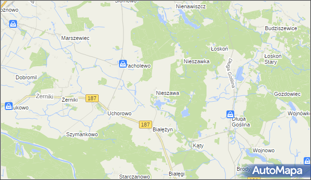 mapa Nieszawa gmina Murowana Goślina, Nieszawa gmina Murowana Goślina na mapie Targeo
